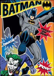 DC Comics Batman Bat Chest Logo Double Wall Acrylic Mason Jar NEW UNUSED 