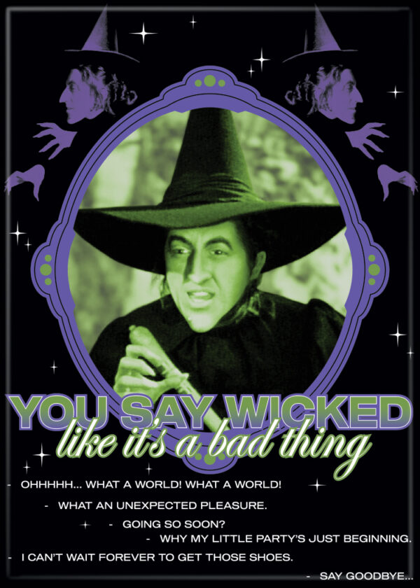 The Wizard of Oz YOU SAY WICKED like it’s a bad thing Photo ...